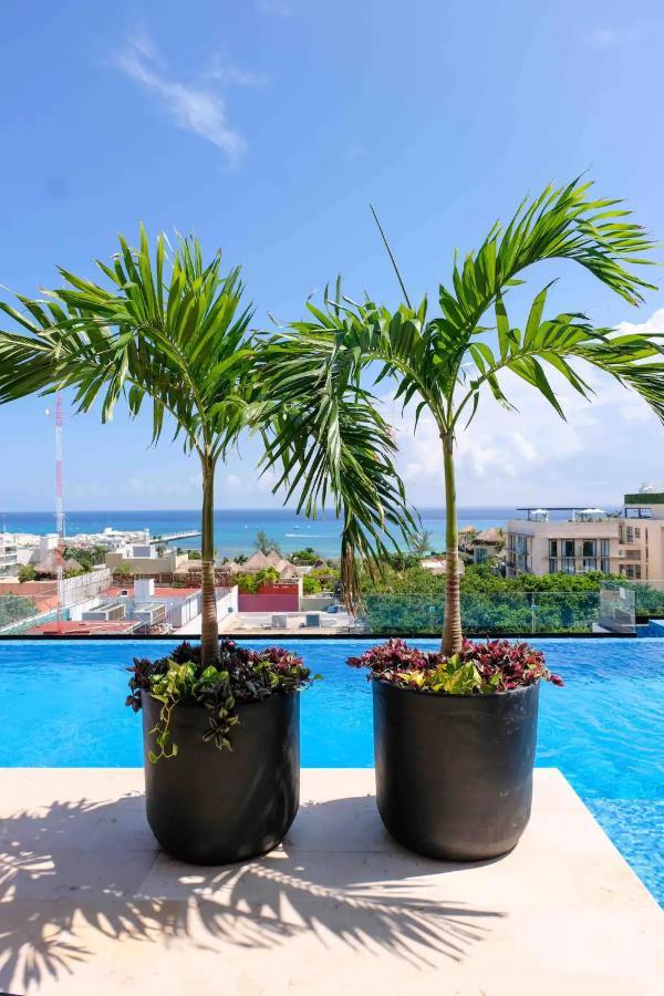 Stayon5A.Av.Penthouse With Privatepool Freeparking Playa del Carmen Exterior foto